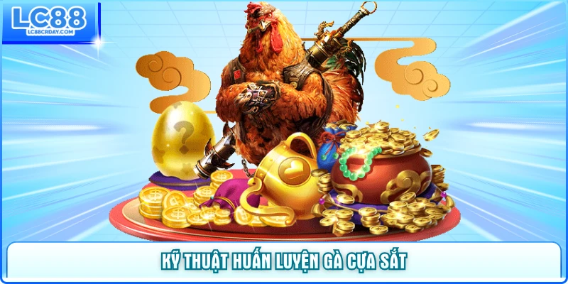 Kỹ thuật huấn luyện gà cựa sắt