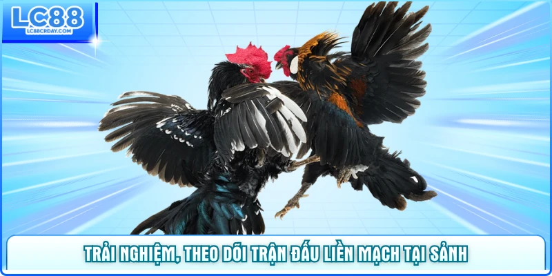 Trải nghiệm, theo dõi trận đấu liền mạch tại sảnh