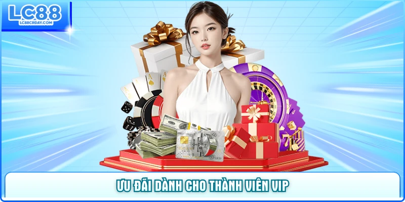 Ưu đãi dành cho thành viên VIP